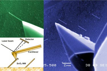 Mechanical probe: AFM tip targets nanostructures