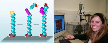 Pattern inscription of chemical nanostructures