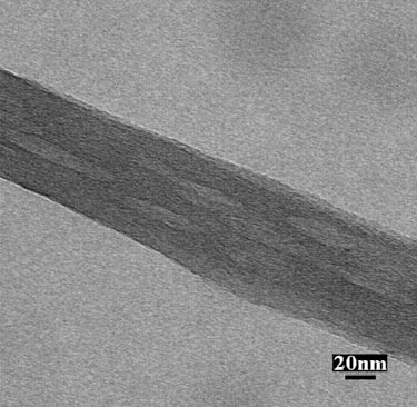 Porous carbon nanofibre