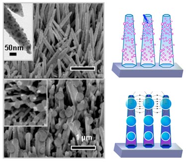 3D template for surface-enhanced Raman scattering