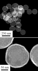 ZnO-coated SiO<sub>2</sub>