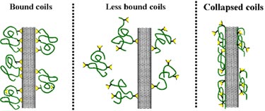 Fluorescent probe