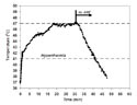 Temperature plot