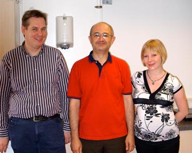 Developing multifunctional nanostructures