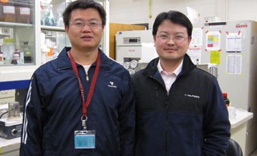 Developing gold nanoparticles for bio-applications