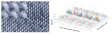 SERS substrate and Raman intensity plot