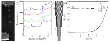 Segmented carbon nanotube bridging Mo electrodes