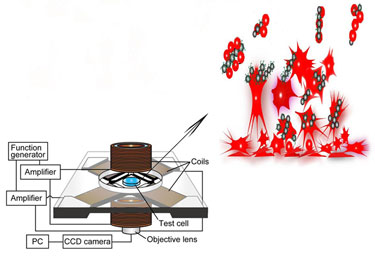 Nanosurgeons operating in 3D rotational magnetic fields