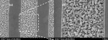 Virus-shaped: nickel-coated nanostructures on silicon