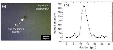 Gold nanoparticle cluster: optical image and spatial profile