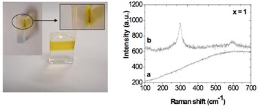 CdS precursor-doped silica matrix and Raman plot