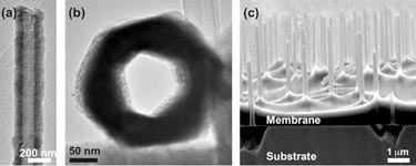 Hollow nanowires