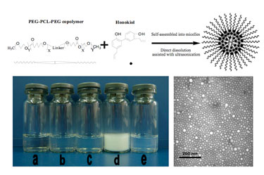 Honokiol-loaded PEG-PCL-PEG micelles