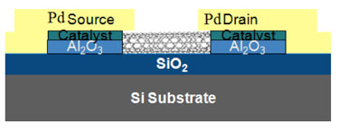 Schematic: carbon nanotube field effect transistor (CNFET)
