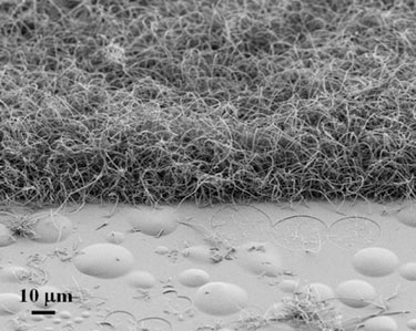 Gold-free nanowire growth on a roughened substrate
