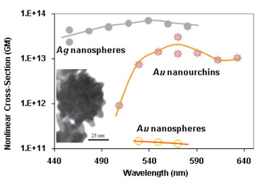 Nanourchins versus nanospheres