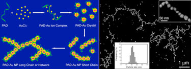 One-dimensional Au-NP assemblies