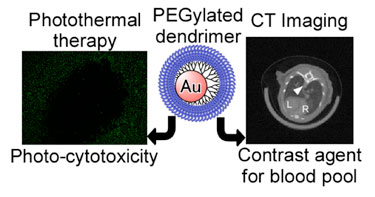 Double action: PEGylated dendrimer loaded with gold NPs