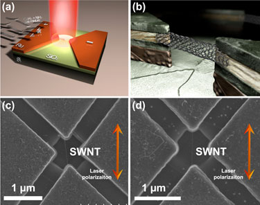 Carbon nanotube integrated bridge structure