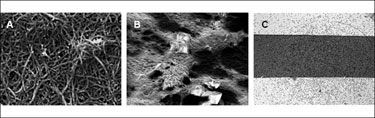 Biocompatible: carbon nanotube embedded films