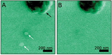 Discriminating between magnetic and non-magnetic nanoparticles