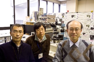 Counting graphene layers: researchers from NTT and University of Tokushima Counting graphene layers: researchers from NTT and University of Tokushima