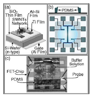 Carbon Nanotube Sensors