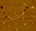 Pseudo three-probe electrode