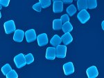 Nanocubes