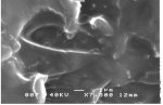 Nanotube-epoxy composite