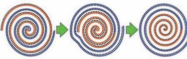 Diagrams showing the biscrolling process