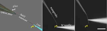 Blue laser waveguided through nanowire endoscope