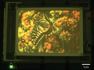 Large-area, full-colour quantum dot display