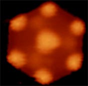 Image of a graphene quantum dot