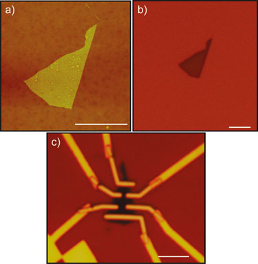 Sample on substrate