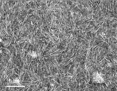 SEM image of graphene oxide nanoribbon mat