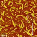 CNC fibres on mica
