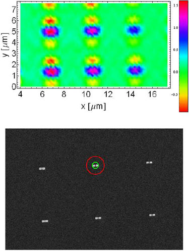 Array of gold nanoantennas