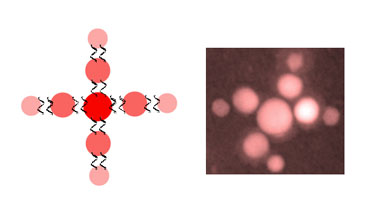 The nanoantennas