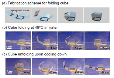 Folding cube