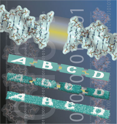 Binary code and shape complementarity