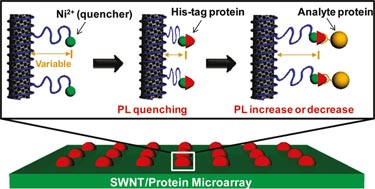Label-free detection of protein-protein interactions