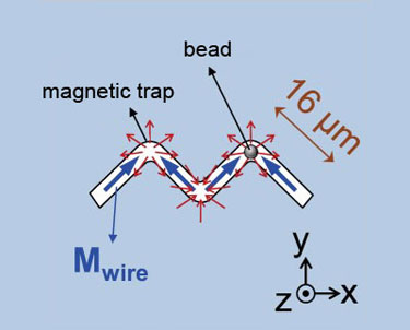 The magnetic zigzag nanowire
