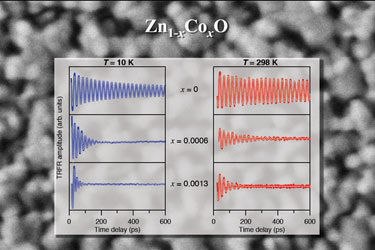 Time-resolved Faraday rotation traces for Zn<sub>1&amp;ndash;x</sub>Co<sub>x</sub>O films