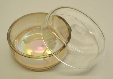 Petri dish with nanodiamond coating