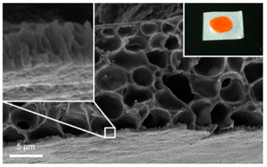 Nanostructured PCL film