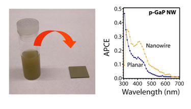 GaP nanowire dispersion