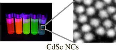 CdSe nanocrystals fluoresce