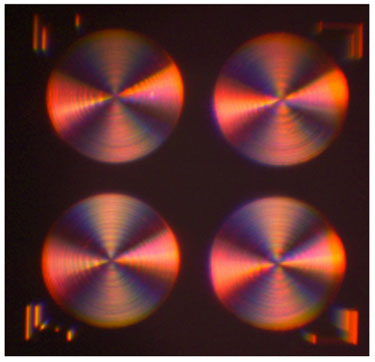 Metalens