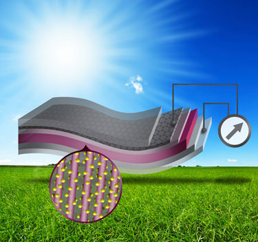 Schematic of the device